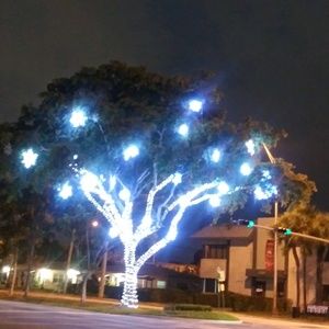 Meet your Posher, Schidler